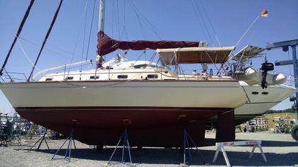38' Island Packet 1999 Yacht For Sale